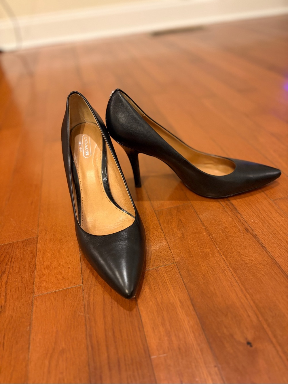 Coach | Classic Black Pointed-Toe Stiletto Pumps